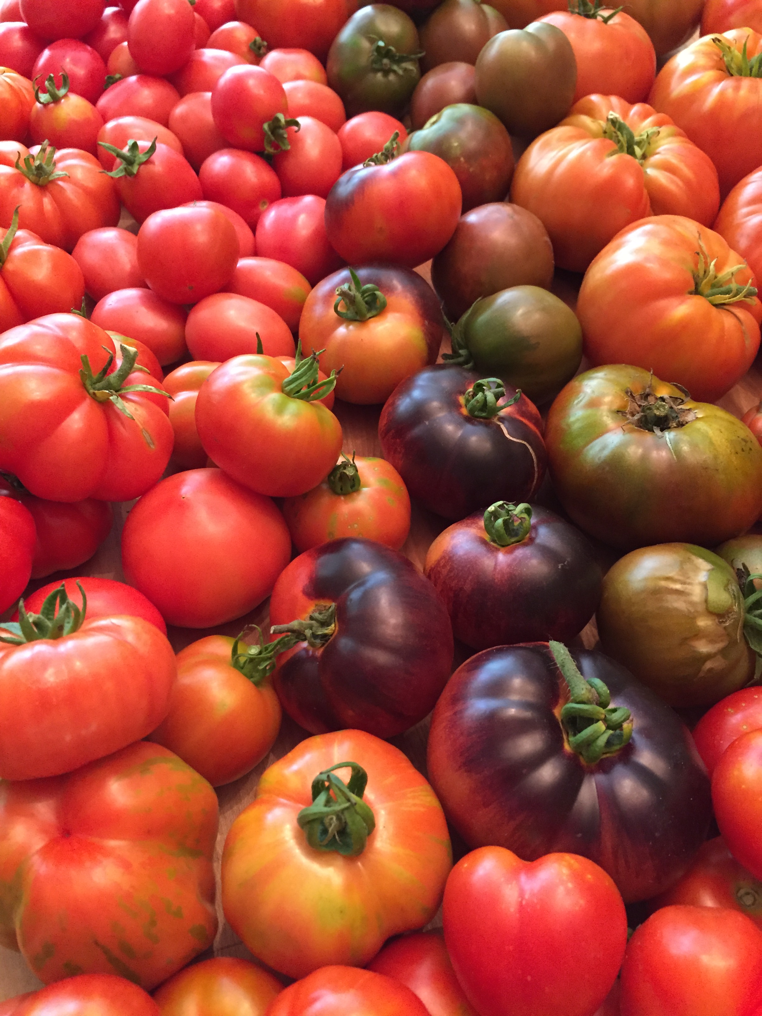 とまとページ Tomato Page | Jones Mill House